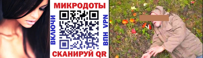 Галлюциногенные грибы прущие грибы  Купить где  Пустошка 