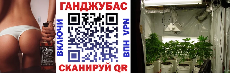 Купить где  Пустошка  Канабис индика 